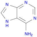 6-Aminopurine