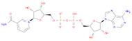 β-Nicotinamide Adenine Dinucleotide