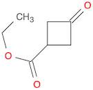 Ethyl 3-oxocyclobutanecarboxylate