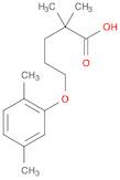 5-(2,5-Dimethylphenoxy)-2,2-dimethylpentanoic acid