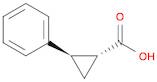 trans-2-Phenylcyclopropanecarboxylic acid