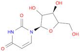 Uridine