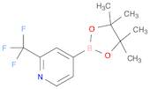 2-(TRIFLUOROMETHYL)PYRIDIN-4-YLBORONIC ACID PINACOL ESTER