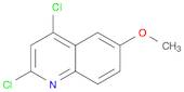 2,4-Dichloro-6-methoxyquinoline