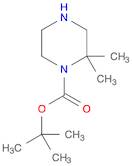 tert-Butyl 2,2-dimethylpiperazine-1-carboxylate