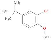 2-Bromo-4-tert-butyl-1-methoxybenzene