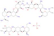 Gentamicin, sulfate (salt)