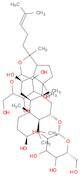 Ginsenoside Rg1