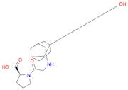 N-(3-Hydroxytricyclo[3.3.1.13,7]dec-1-yl)glycyl-L-proline