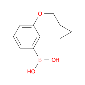 (3-(Cyclopropylmethoxy)phenyl)boronic acid