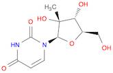 2'-C-Methyluridine