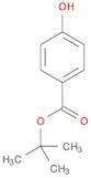 tert-Butyl 4-hydroxybenzoate