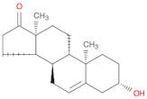 DEHYDROISOANDOSTERONE