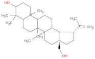 Lup-20(29)-ene-3b,28-diol