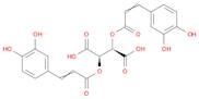 Chicoric acid