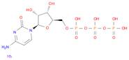 Cytidine-5'-triphosphate disodium salt