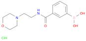 (3-((2-Morpholinoethyl)carbamoyl)phenyl)boronic acid hydrochloride