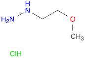 (2-Methoxyethyl)hydrazine hydrochloride