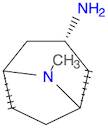 endo-8-Methyl-8-azabicyclo[3.2.1]octan-3-amine