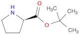 D-Proline tert-butyl ester