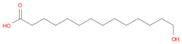 14-Hydroxytetradecanoic acid