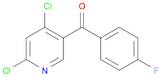 (4,6-Dichloro-3-pyridinyl)(4-fluorophenyl)methanone