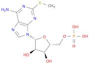 [(2R,3S,4R,5R)-5-(6-amino-2-methylsulfanylpurin-9-yl)-3,4-dihydroxyoxolan-2-yl]methyl dihydrogen p…