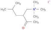 (2-Acetyl-4-methylpentyl)trimethylammonium Iodide