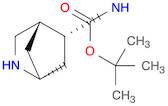 Tert-butyl (1R,4R,5R)-2-azabicyclo[2.2.1]heptan-5-ylcarbamate