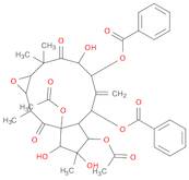 Kansuinin B