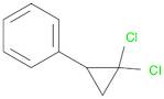 (2,2-Dichlorocyclopropyl)benzene