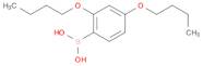 (2,4-Dibutoxyphenyl)boronic acid