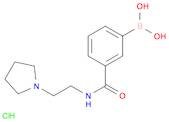 3-(2-(Pyrrolidin-1-yl)ethylcarbamoyl)phenylboronic acid, HCl