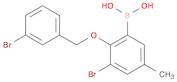 3-Bromo-2-(3'-bromobenzyloxy)-5-methylphenylboronic acid