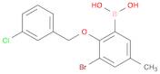 3-Bromo-2-(3'-chlorobenzyloxy)-5-methylphenylboronic acid