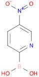 (5-Nitropyridin-2-yl)boronic acid