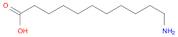 11-Aminoundecanoic acid