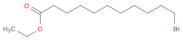 Ethyl 11-bromoundecanoate