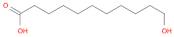 11-HYDROXYUNDECANOIC ACID