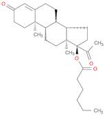 17-Caproxyprogesterone