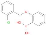 (2-((2-Chlorobenzyl)oxy)phenyl)boronic acid