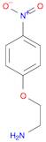 2-(4-Nitrophenoxy)ethylamine