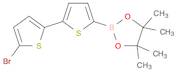 5-BROMO-5''-(4,4,5,5-TETRAMETHYL-1,3,2-DIOXABOROLAN-2-YL)-2,2''-BITHIOPHENE