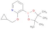 2-(Cyclopropylmethoxy)-3-(4,4,5,5-tetramethyl-1,3,2-dioxaborolan-2-yl)pyridine