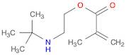 2-(tert-Butylamino)ethyl methacrylate