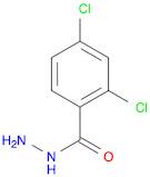 2,4-DICHLOROBENZHYDRAZIDE