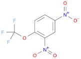 2,4-Dinitro-1-(trifluoromethoxy)benzene