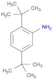 2,5-Di-tert-butylaniline