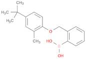 2-[(4'-TERT-BUTYL-2'-METHYLPHENOXY)METHYL]PHENYLBORONIC ACID