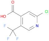 2-Chloro-5-(trifluoromethyl)pyridine-4-carboxylic acid